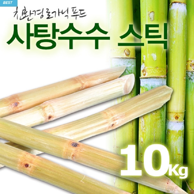 [냉동상품]천연사탕수수스틱 10KG 정글의 법칙 사탕수수